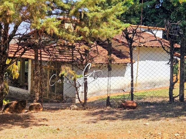 #39 - Chácara para Venda em Mogi Mirim - SP - 1