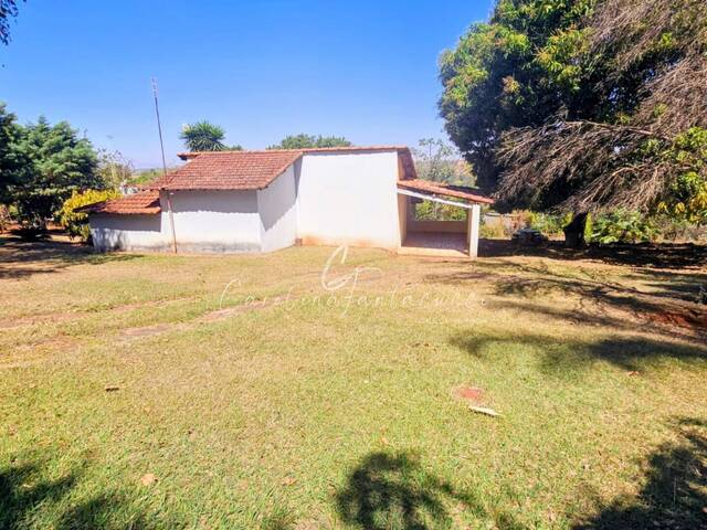 #39 - Chácara para Venda em Mogi Mirim - SP - 3