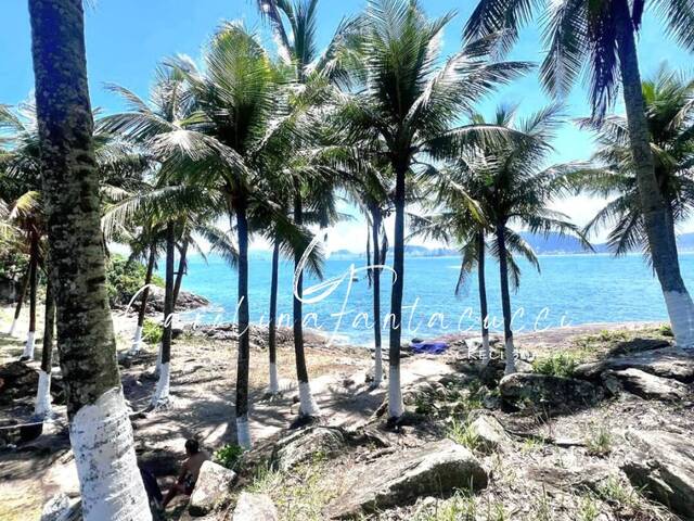 #41 - Ilha para Venda em Guarujá - SP - 3