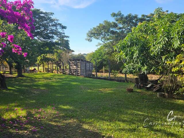 Chácara para Venda em Mogi Mirim - 3