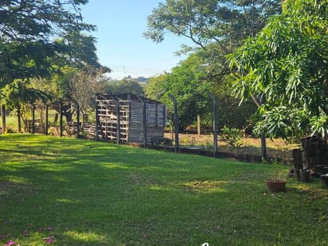 #77 - Chácara para Venda em Mogi Mirim - SP - 3